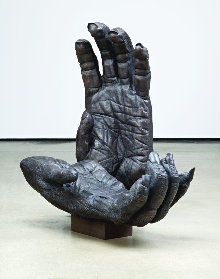 Chimpanzee Hands Lisa Roet Artist